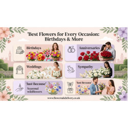 Best Flowers for Every Occasion: Birthdays & More